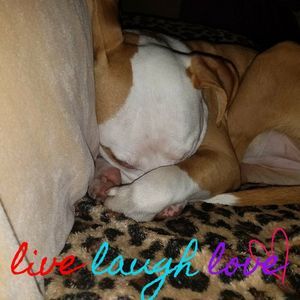 Meet your Posher, Carol